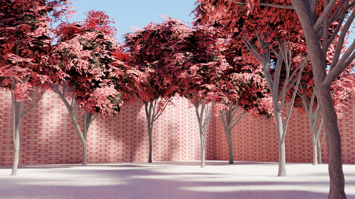 Trees in a room